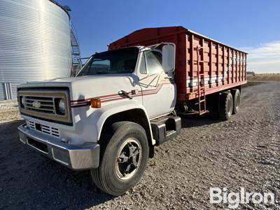 1980 Chevrolet C6500 T/A Grain Truck