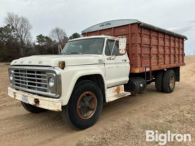 1978 Ford F600 S/A Grain Truck w/Hoist
