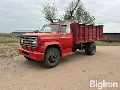 1973 GMC 6000 S/A Grain Truck