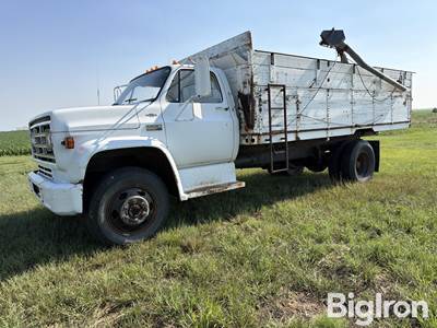 1973 GMC 6000 S/A Grain Truck