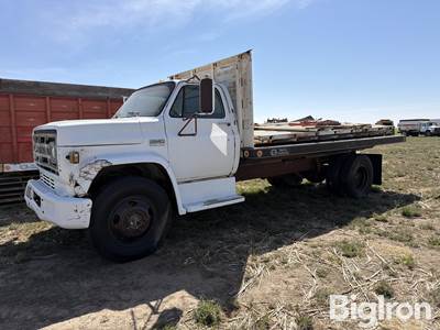 1976 GMC C6000 S/A Grain Truck
