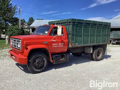1975 GMC C6000 S/A Grain Truck