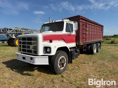 1979 International F-2654 T/A Grain Truck