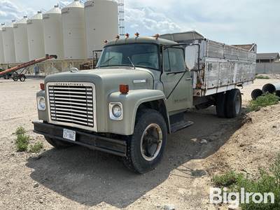 1974 International 1700 Loadstar S/A Grain Truck