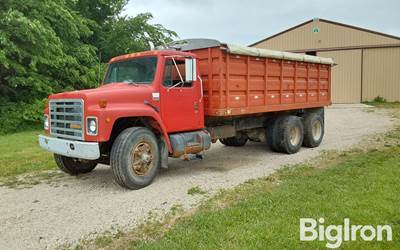 1987 International S1900 T/A Grain Truck