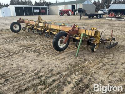 Alloway 8R30" Cultivator