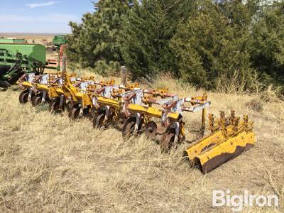 Buffalo 6R30" Row Crop Cultivator