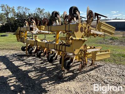 Buffalo 8R36” Cultivator