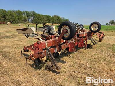 International 183 8R38 Cultivator