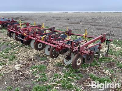 International 470 6R36 Cultivator