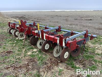 International 6R36 Cultivator