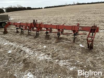 International Harvester 3-Pt Cultivator
