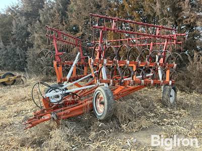 International 3 Section Front Fold Field Cultivator