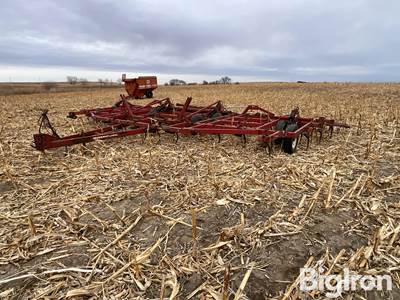 International 32” Field Cultivator