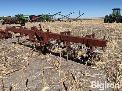 International 4R30 Cultivator