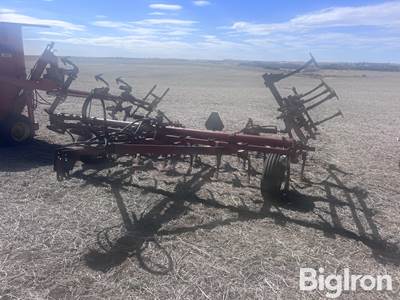 International Vibrashank 45 Field Cultivator
