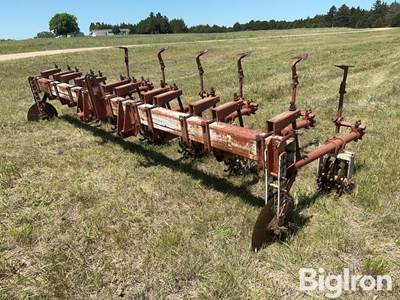 Lilliston 64 Rolling Cultivator