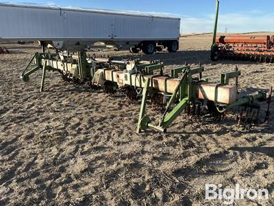 Lilliston 8R30” Cultivator