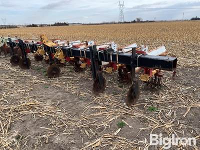 Lilliston 6R36 3-Pt Cultivator