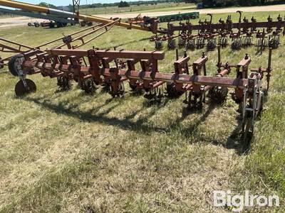 Lilliston Rolling Cultivator