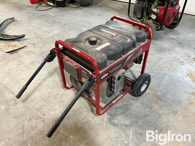 Briggs & Stratton 030210 Portable Generator