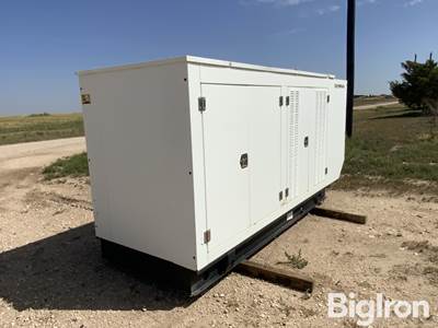 Olympian Commercial Natural Gas Generator