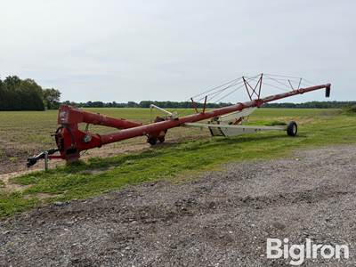 Buhler Farm King 1385 Hydraulic Lift Auger