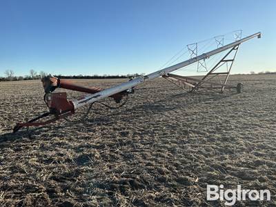 Feterl Grain Auger w/Swing Hopper