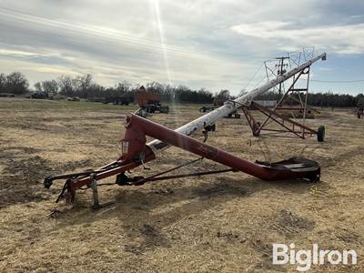 Feterl Grain Auger w/ Swing Hopper