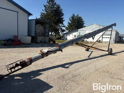 Hutchinson 10x61 Auger