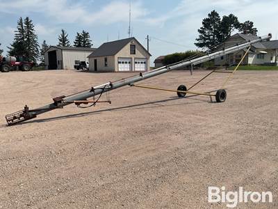 Hutchinson 8” Transfer Auger