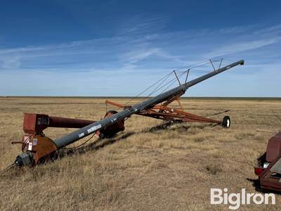 Hutchinson /Mayrath Grain Auger