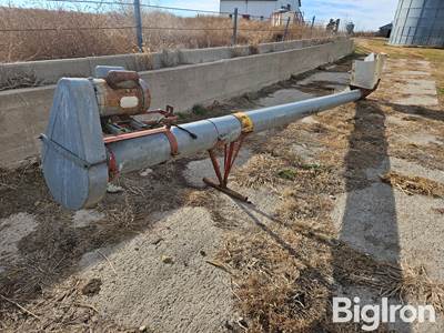 Hutchinson 8"x20' Transfer Auger