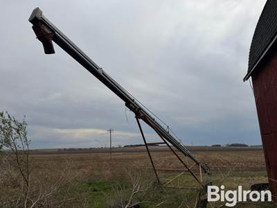 Hutchinson Auger