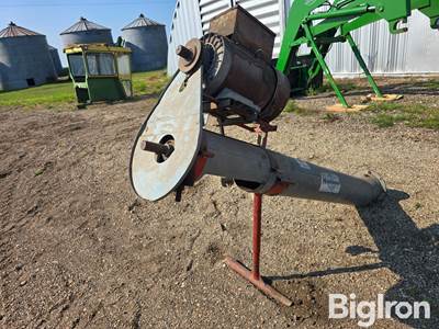 Hutchinson 8" Bin Unload Auger