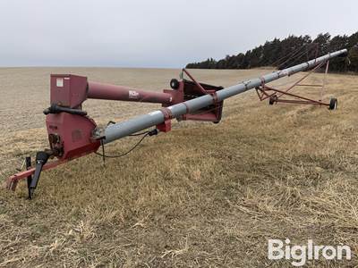 Peck 10-81 Auger w/Swing Hopper