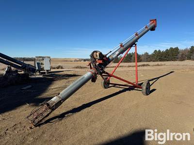 Peck 10"x31' Electric Auger