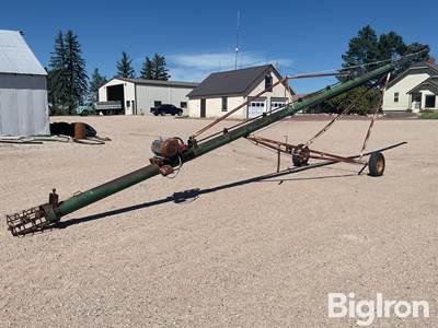 Speed King 8” Transfer Auger