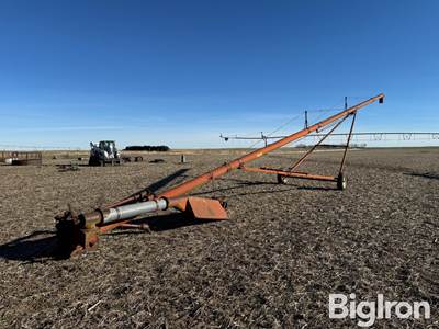 Sudenga 8"x60' Auger w/Swing-out Hopper