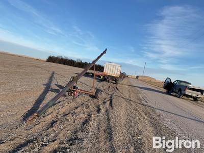 6” Grain Auger