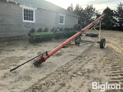 6" x 30' Grain Auger