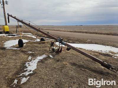 6”x42’ Electric Unloading Auger