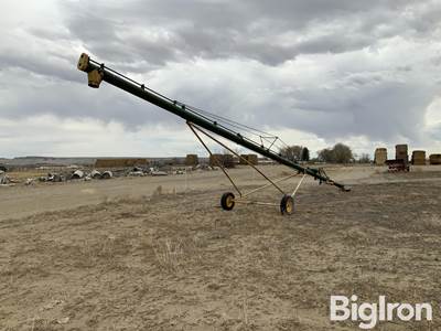 2004 Grain Auger