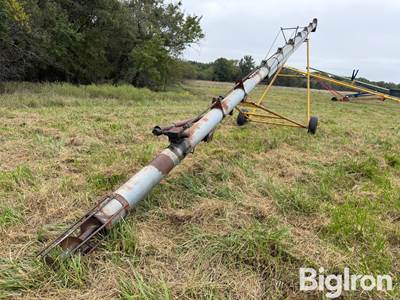 8" x 46' Transfer Auger