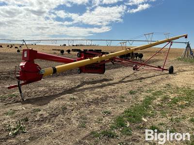 Westfield MX100-71 Grain Auger