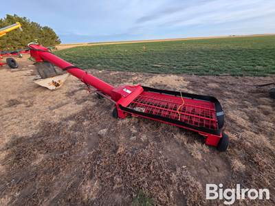 Westfield Transfer Auger & Hopper