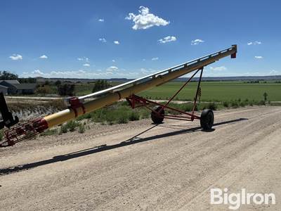 Westfield WR100-41 41’ Grain  Auger