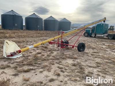 2011 Westfield WR60-31 Transfer Auger