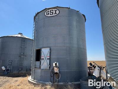 GSI Grain Bin