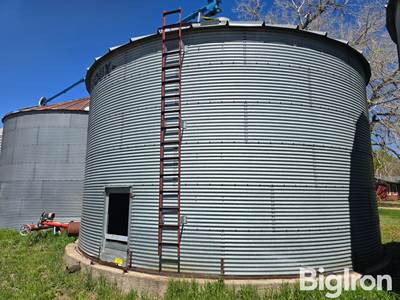 Sioux 29' Grain Bin